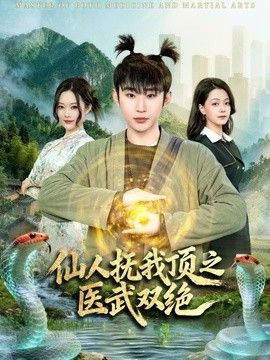 仙人抚我顶之医武双绝