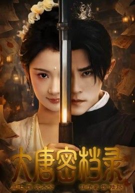 大唐密档录
